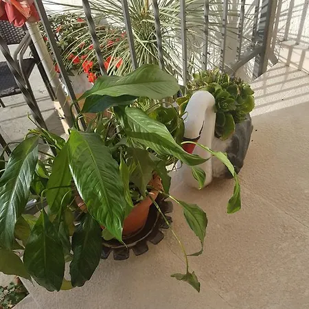 Apartamento Draga Apartmant Podstrana